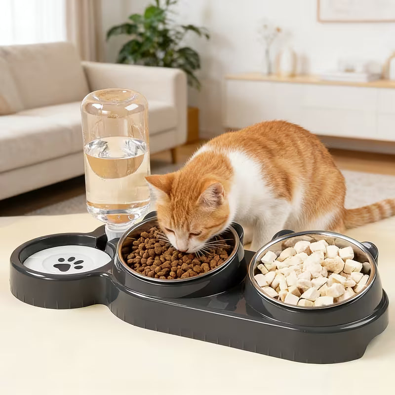 Automatic 3-in-1 Pet Feeder & Water Station